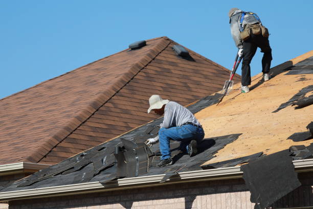 Best Gutter Installation and Repair  in Tuscola, IL